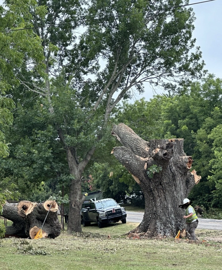 Workers removing a large, broken tree next to a truck in a residential area