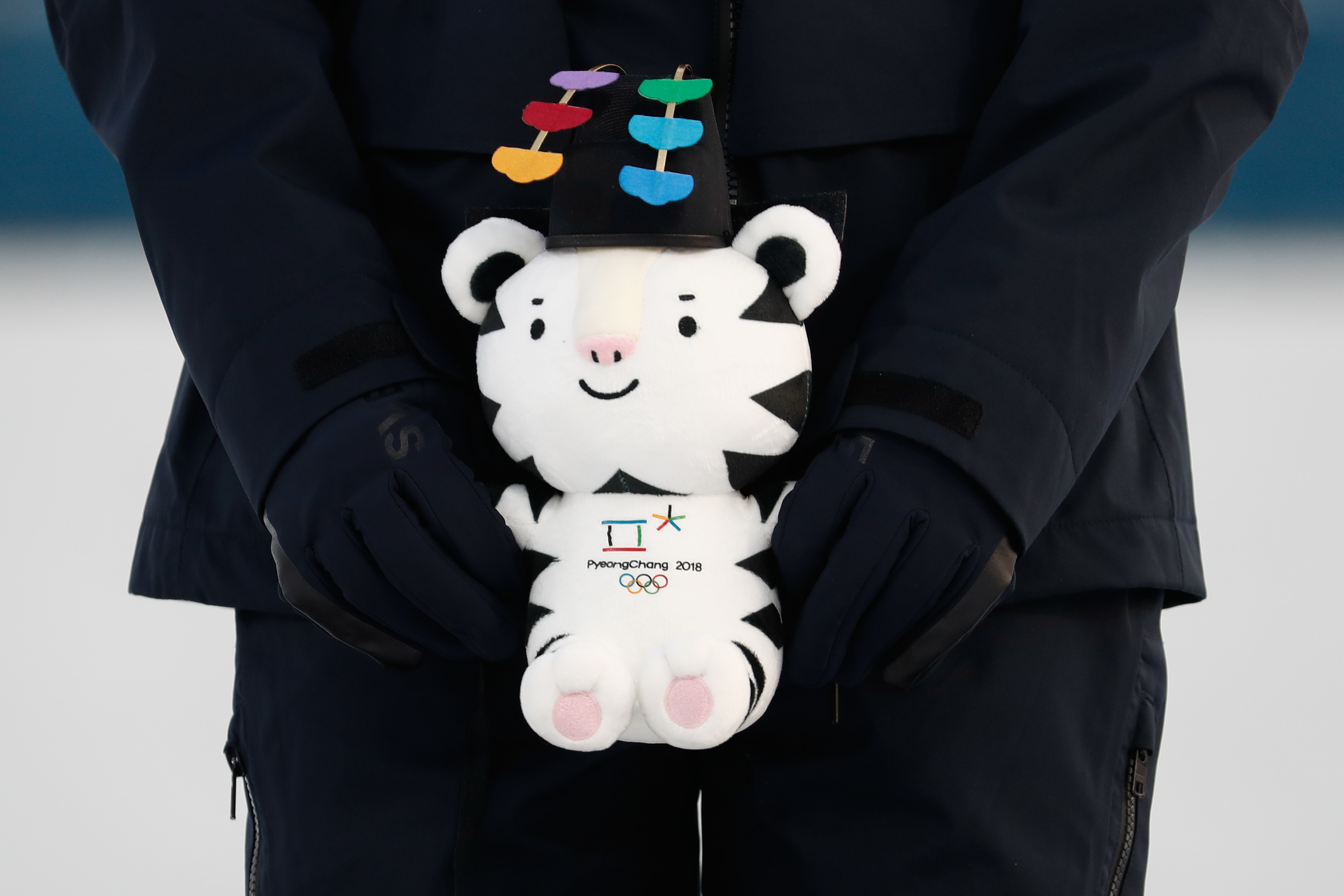 A person in dark clothing holds a plush toy of Soohorang, the official mascot of the PyeongChang 2018 Winter Olympics, featuring a hat with colorful elements