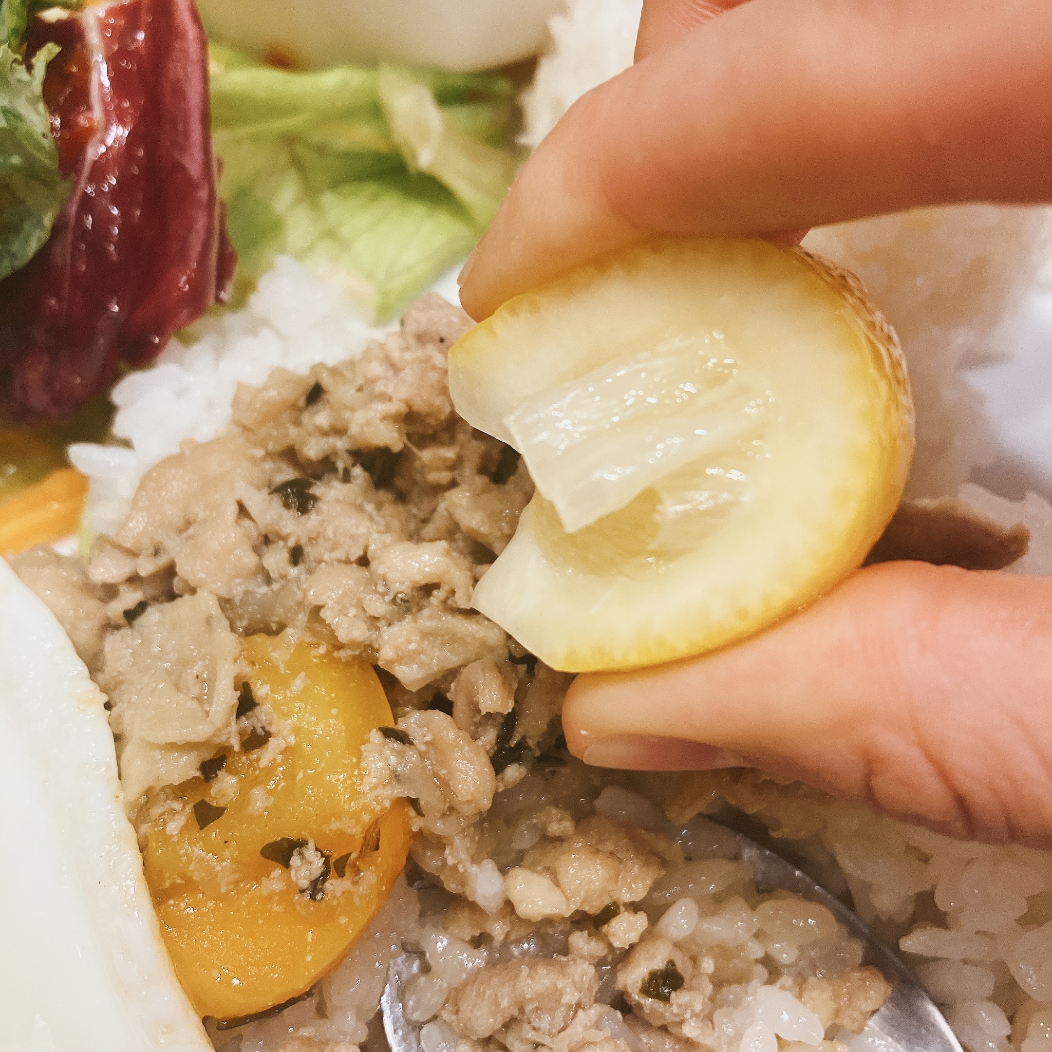 ガストのおすすめ料理「エダジュン監修ガパオ&グリーンカレープレート」