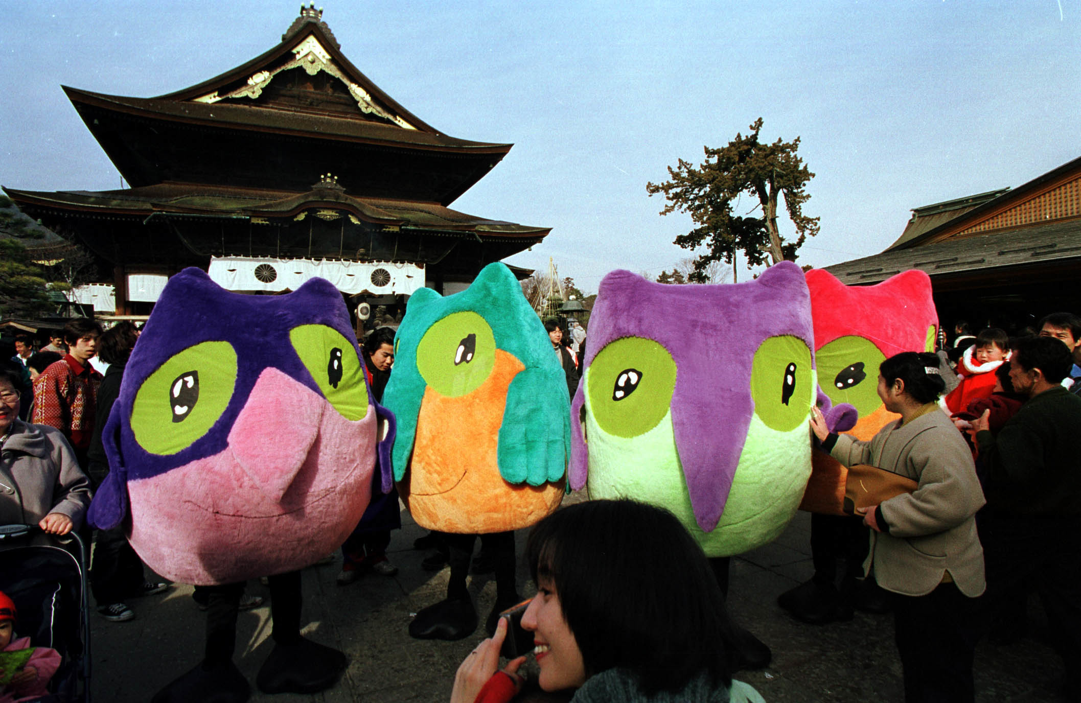 Four colorful owl mascots stand amidst a crowd in front of a traditional Japanese temple