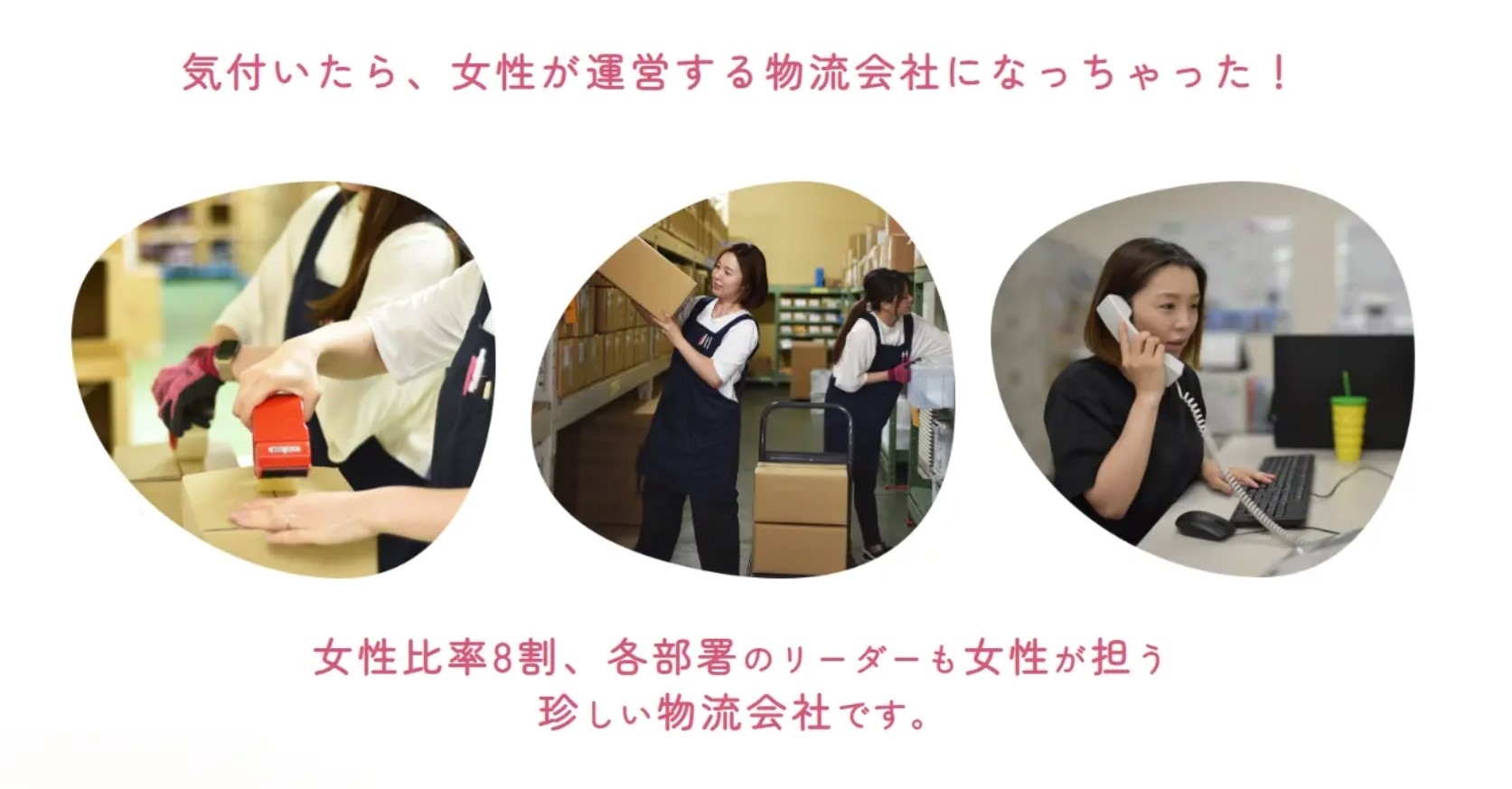 ミカロジ株式会社ホームページ