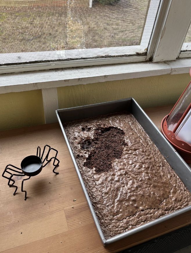 A tray of brownies with a piece missing, placed near a window. Next to it is a spider-shaped holder for a small black cup