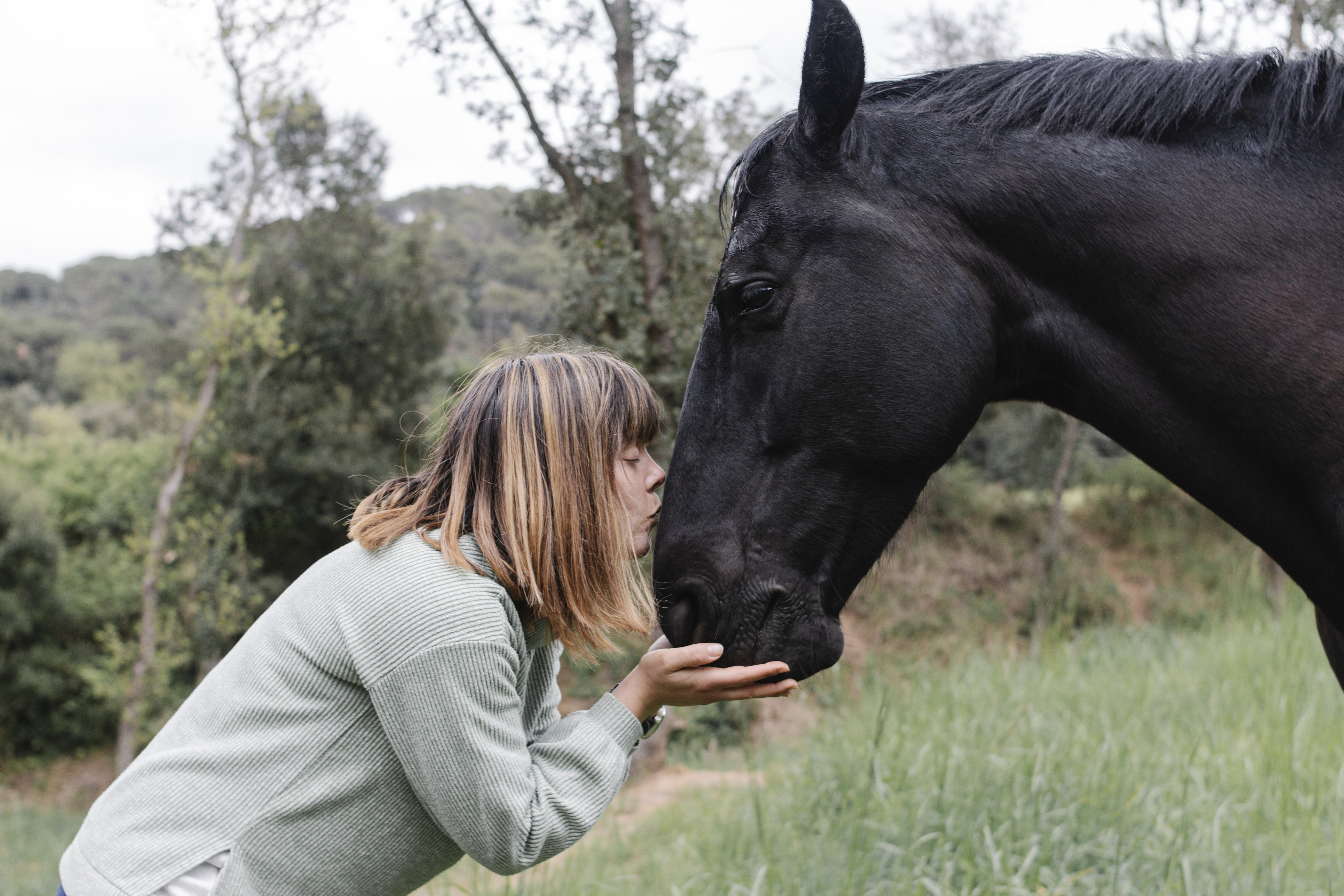 A person is gently touching a horse's nose while leaning in for a kiss in an outdoor setting with trees and grass in the background