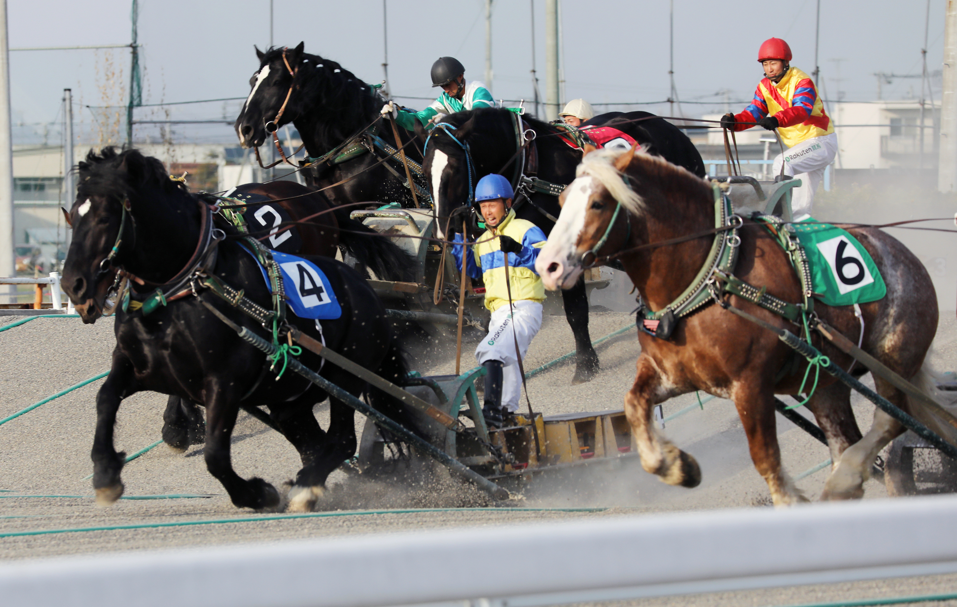ばんえい競馬のレース