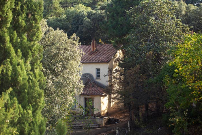 A small house with a red roof is nestled in a lush, wooded area with dense trees surrounding it