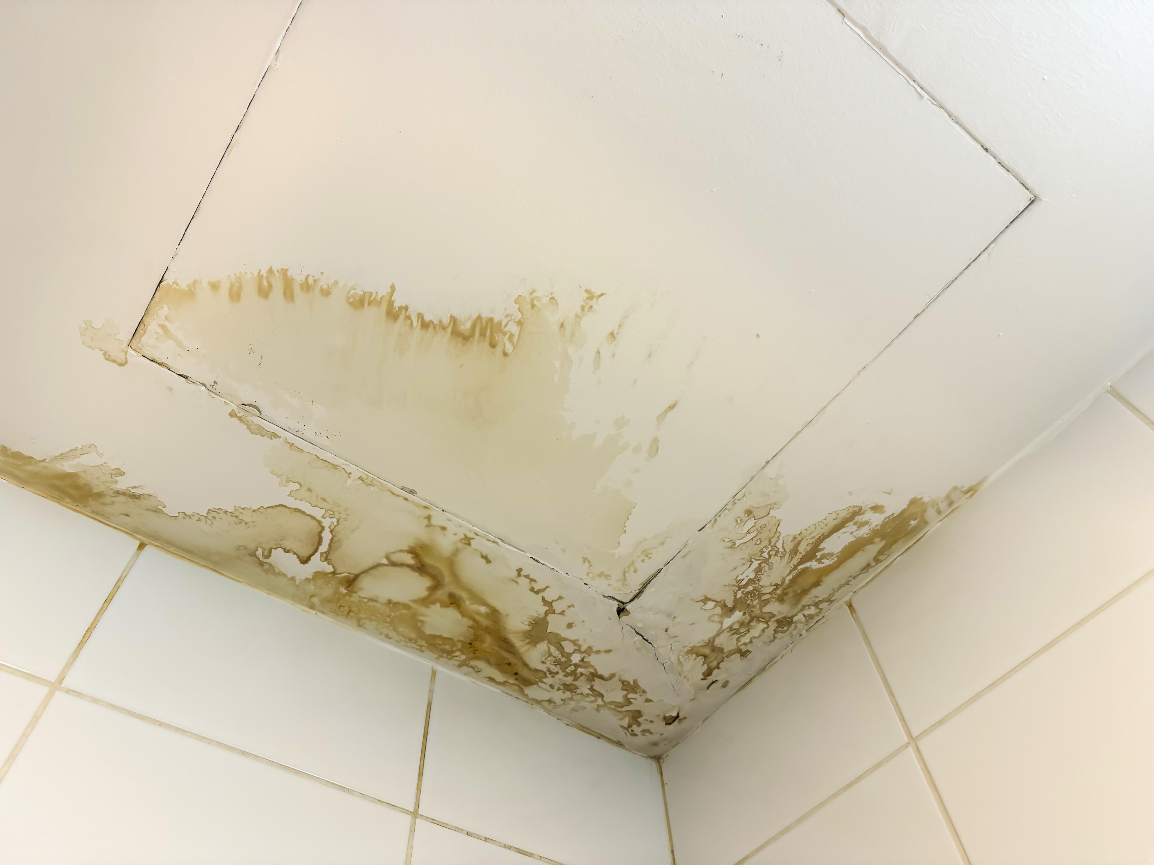 Ceiling corner with significant water damage and mold growth visible, especially around a small access panel. Adjacent walls are tiled