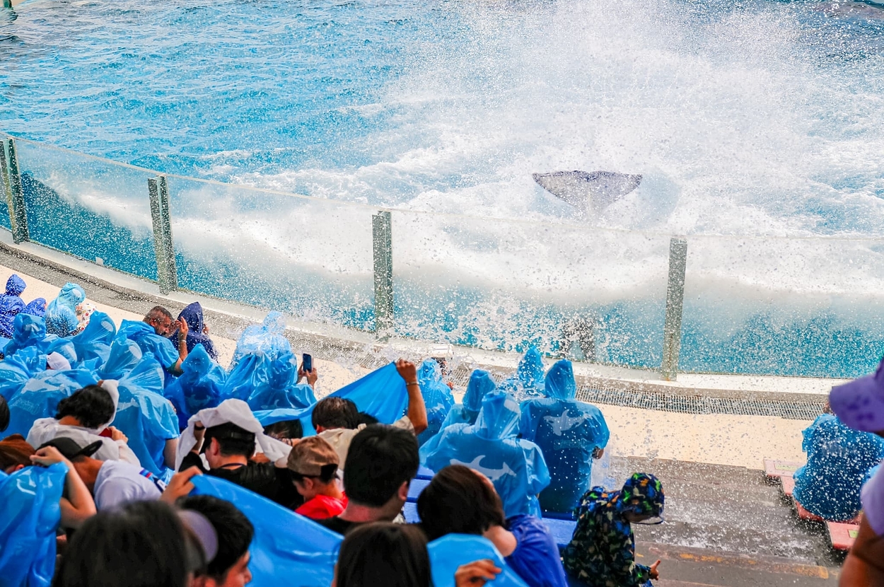 サマースプラッシュの様子（観客席側）