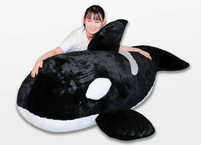 BIGシャチぬいぐるみ側面