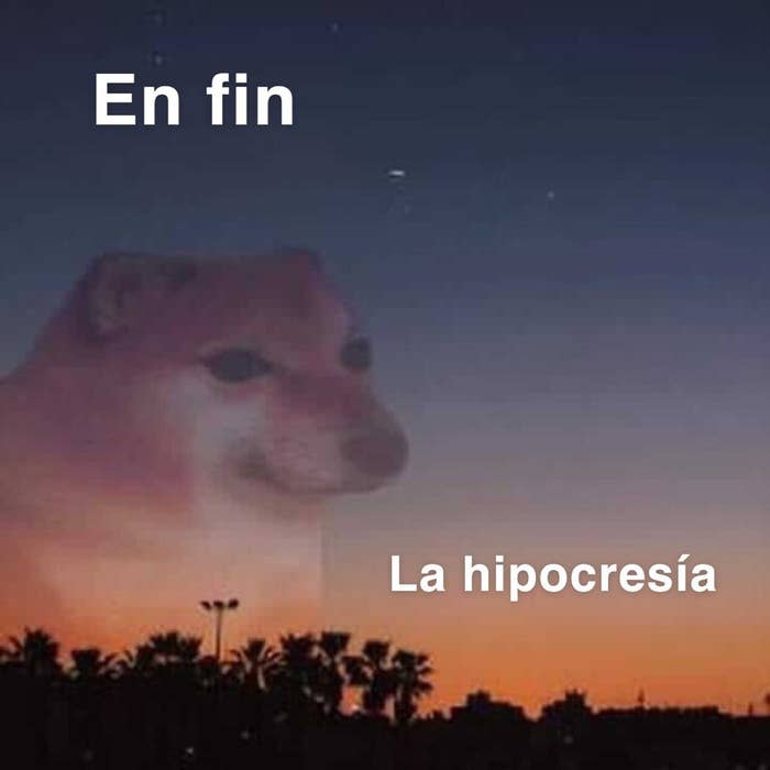 Fotografía de un atardecer con la imagen de un perro y las palabras "En fin, la hipocresía."