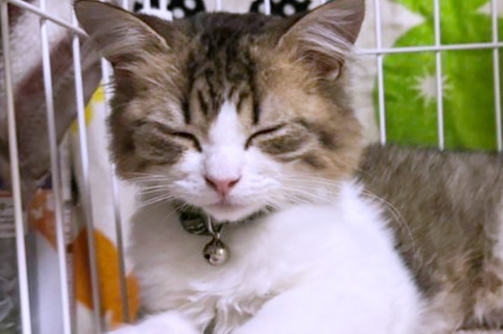 生後4カ月のれおんくん。あどけない表情がかわいい…!