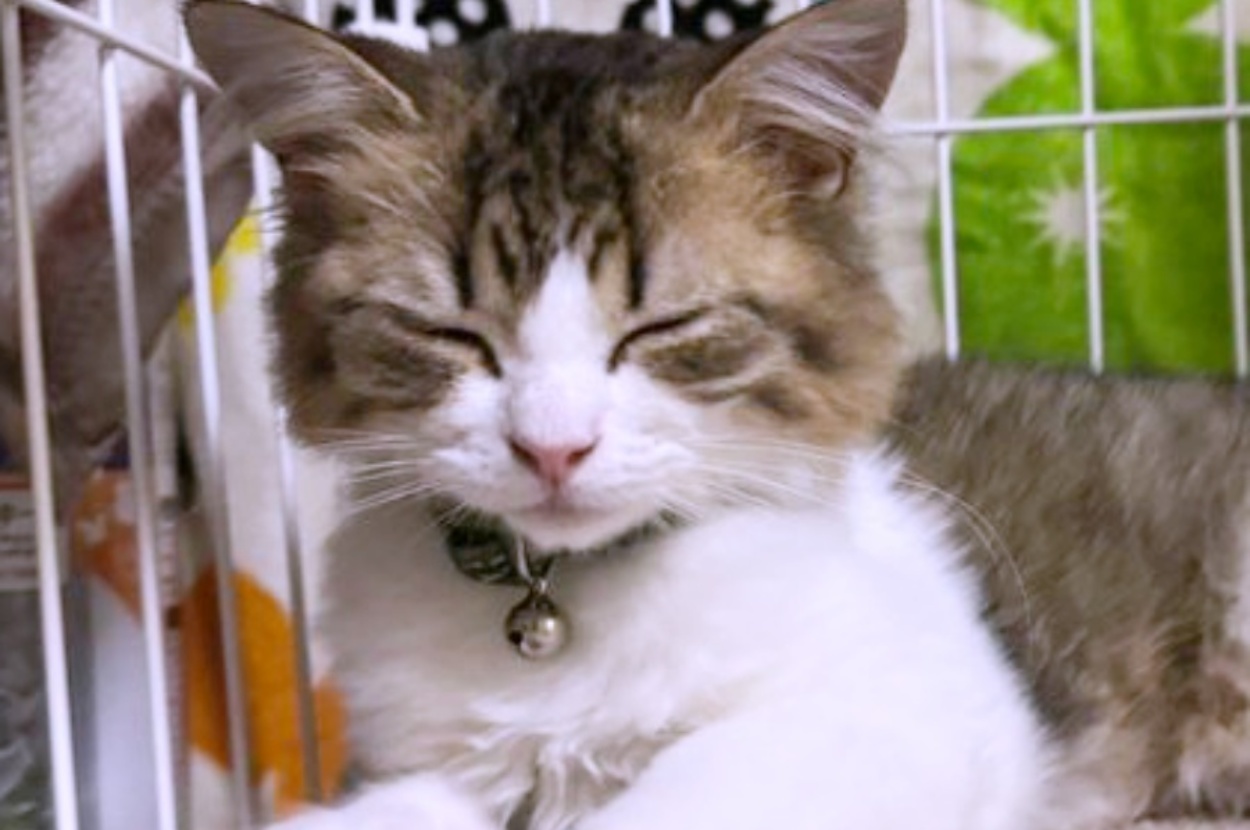 生後4カ月のれおんくん。あどけない表情がかわいい…！