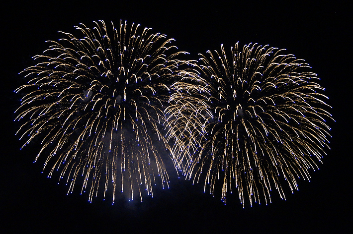 夜空に大きく広がる花火が2つ。
