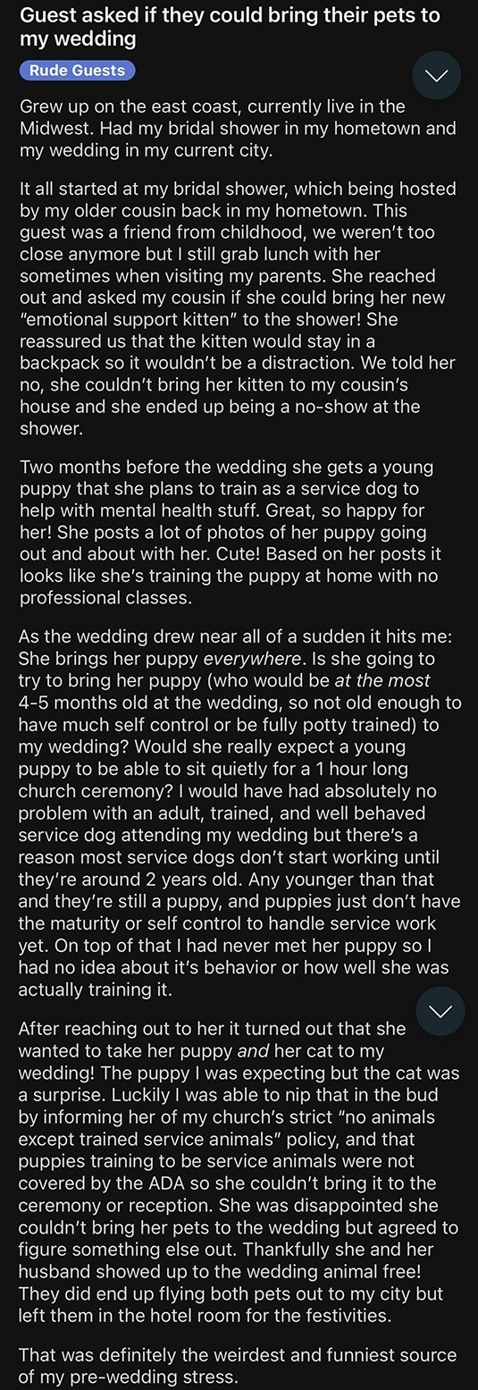 Text summary: A wedding guest asked to bring a puppy, not clarifying it was a cat at first. The bride, surprised on the wedding day, found out and let the cat stay in a hotel room for the festivities
