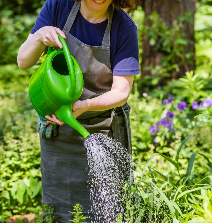 庭で水やりをする人のイメージ写真(Getty Images/iStockphoto)