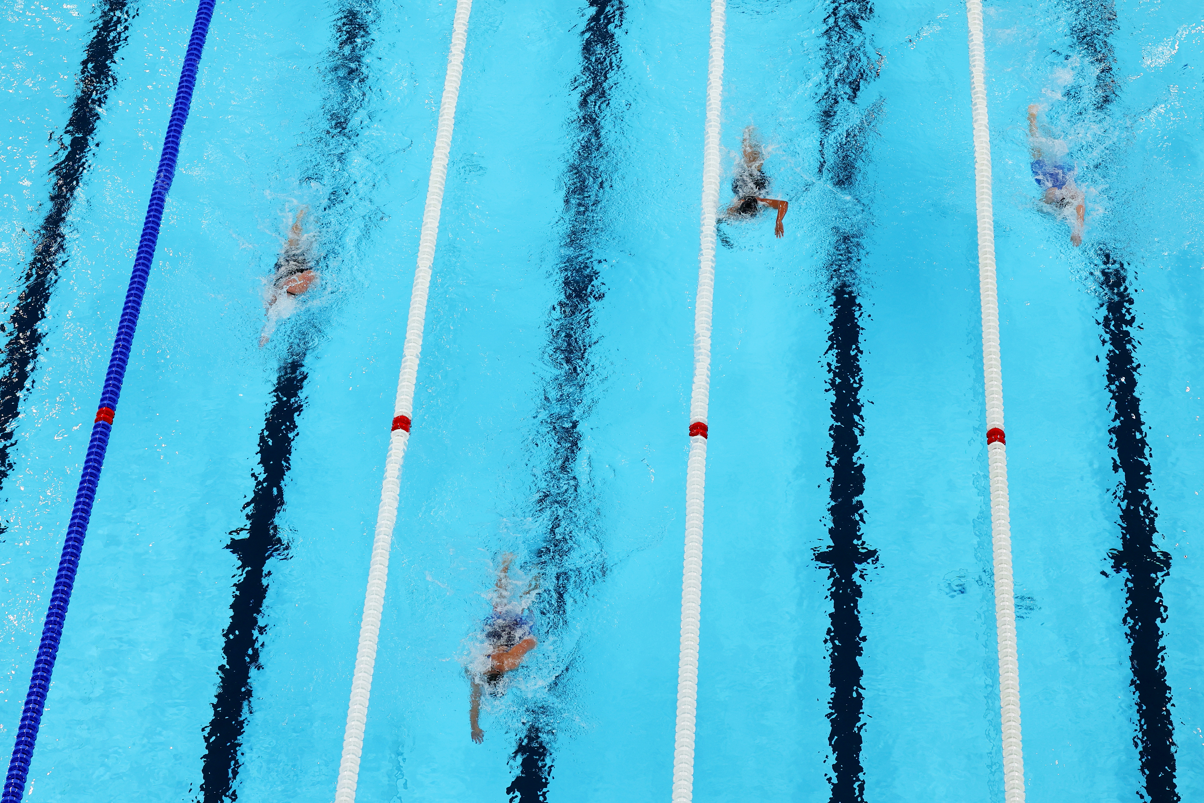 Swimmers compete in a race in an Olympic-size pool, seen from above. The lanes are divided by white and blue ropes