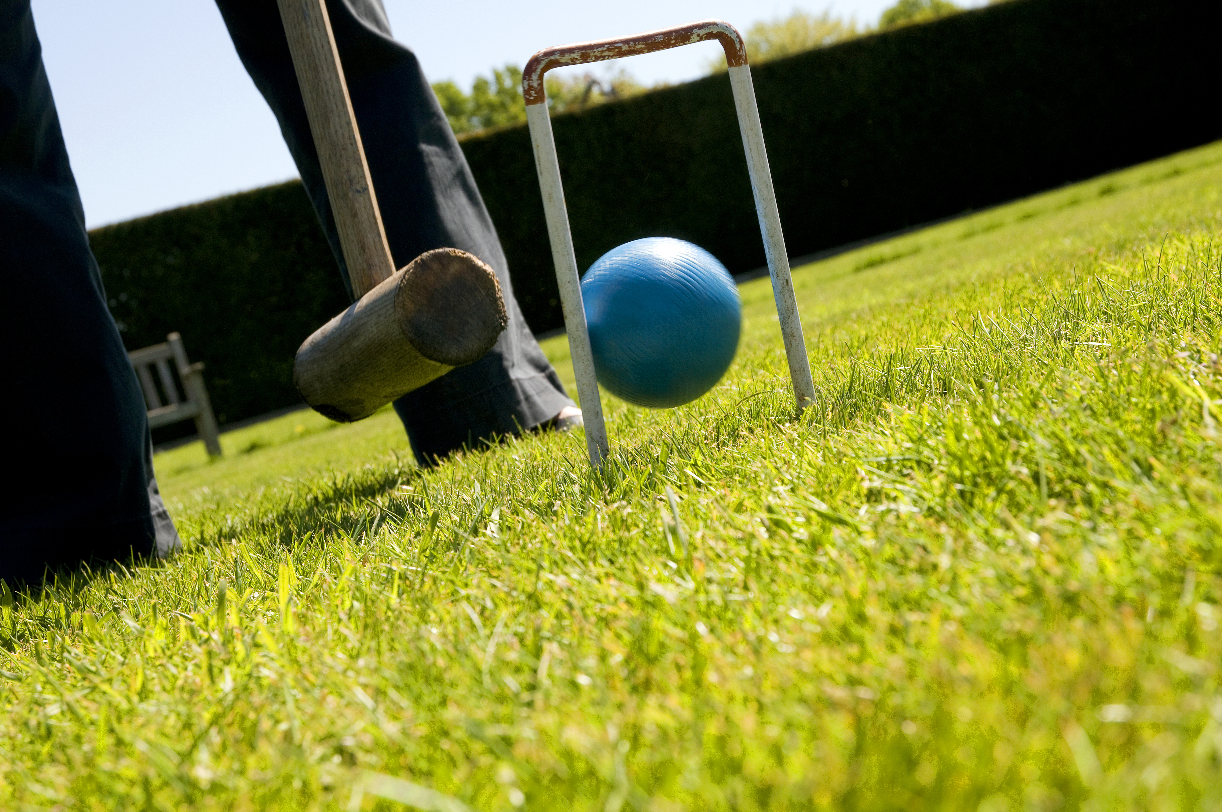 Close-up of a croquet mallet and a blue ball in a croquet hoop on a grassy lawn