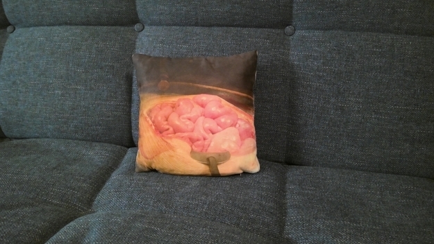 A small cushion with a brain image printed on it is placed on a dark sofa