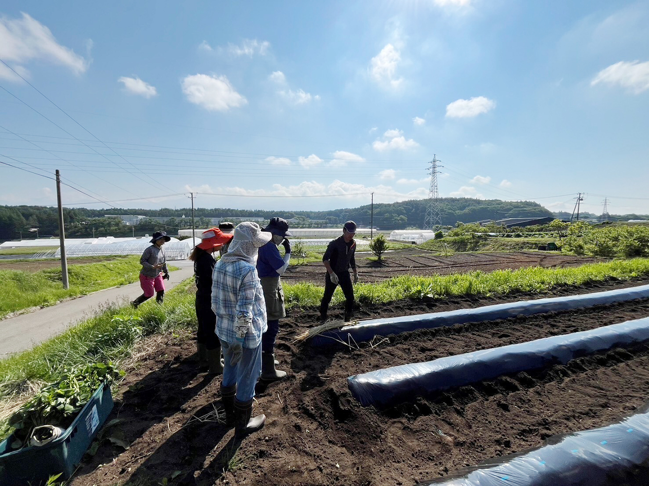 複数の農家が畑で集まり、農作業をしている場面。