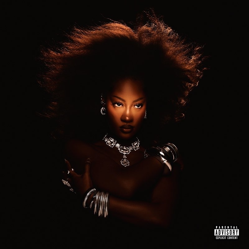 Tems poses confidently with an afro hairstyle, adorned in large statement jewelry including a choker necklace and bangles, against a dark background