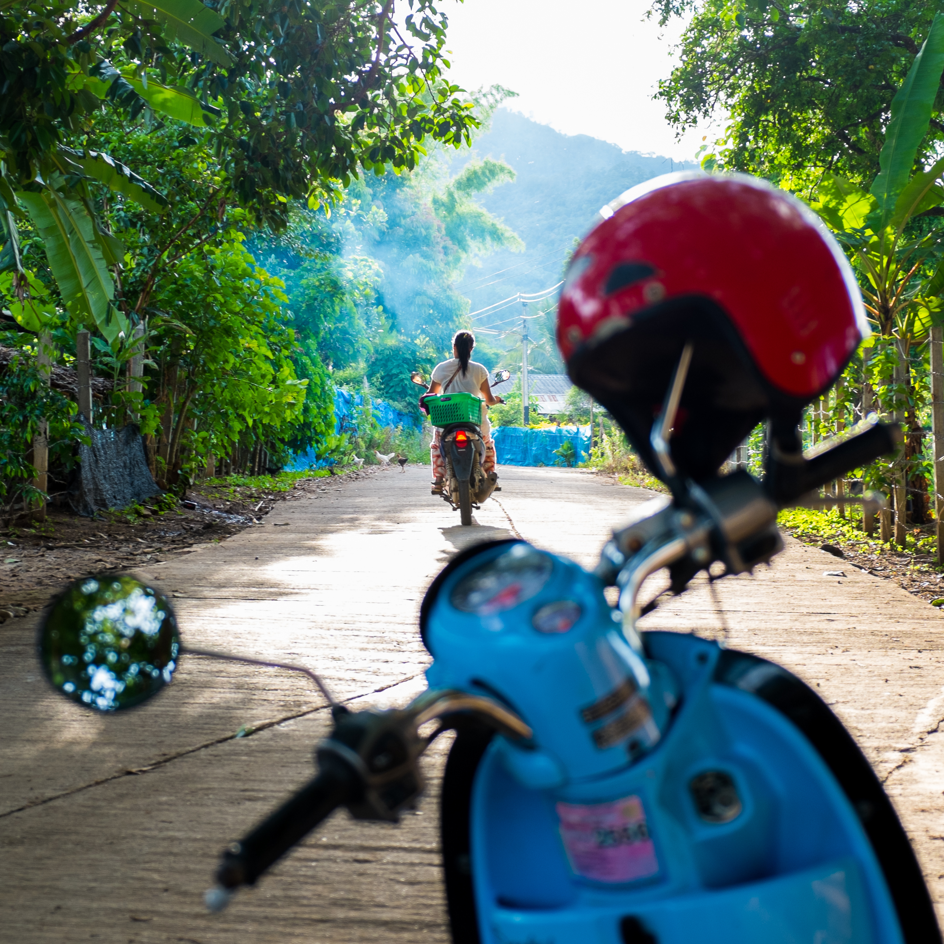 Person riding a motorcycle on a forested path, with a blue scooter and red helmet in the foreground. Trees and hills are in the background