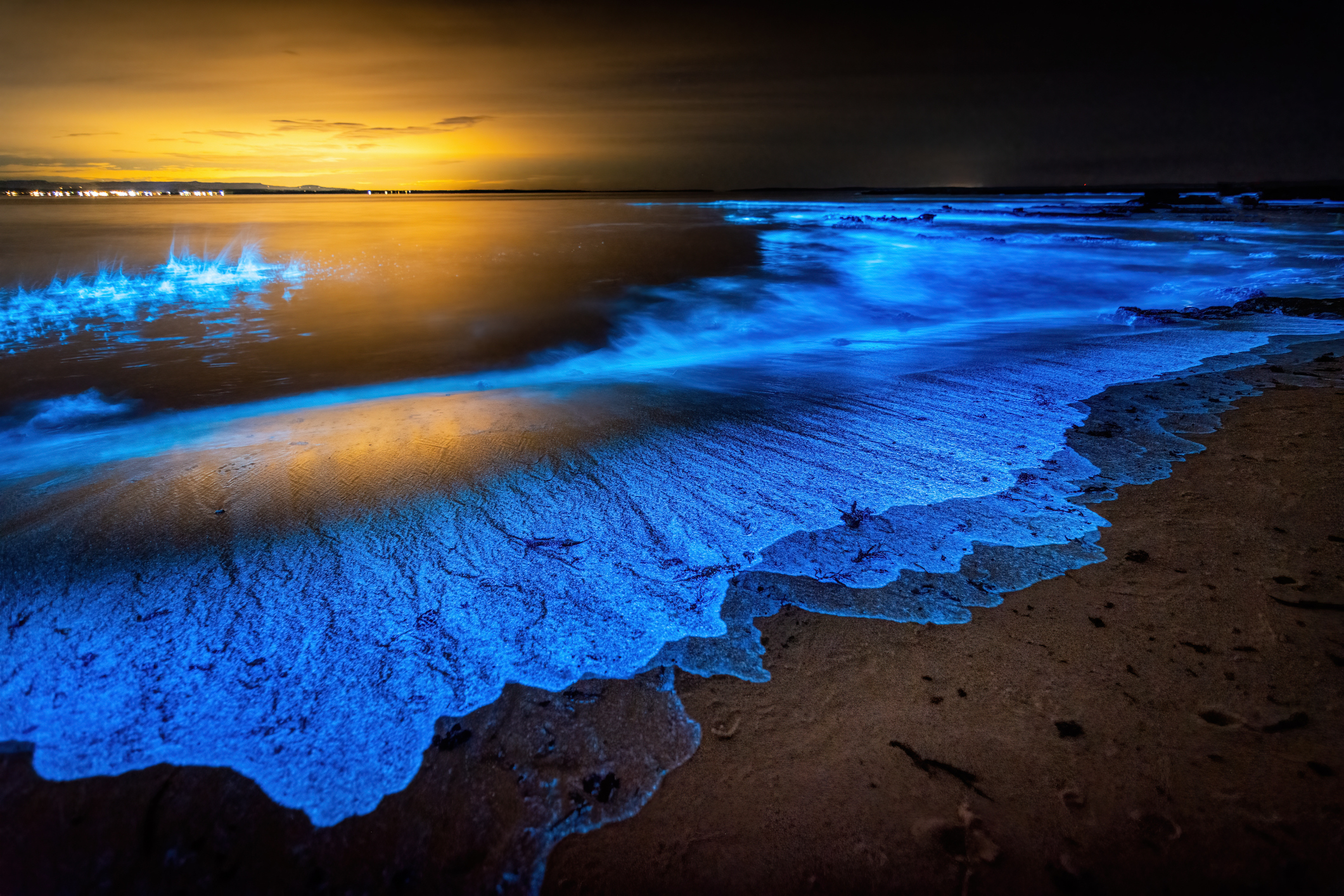 Bioluminescent waves glowing in the night, creating a vivid, ethereal display along the shoreline under a dark sky