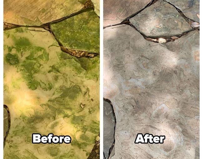 a reviewer photograph of flagstone covered successful greenish stains and substance speechmaking