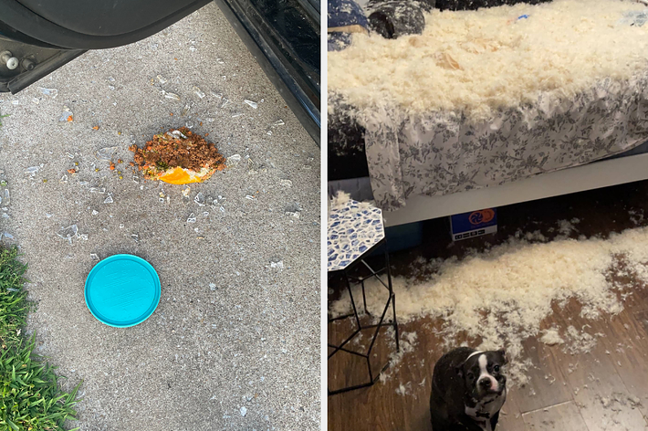 車のそばの地面に落ちたシェパーズパイと青い蓋。「I dropped the shepherd’s pie」のテキストが画像上部に表示されています。