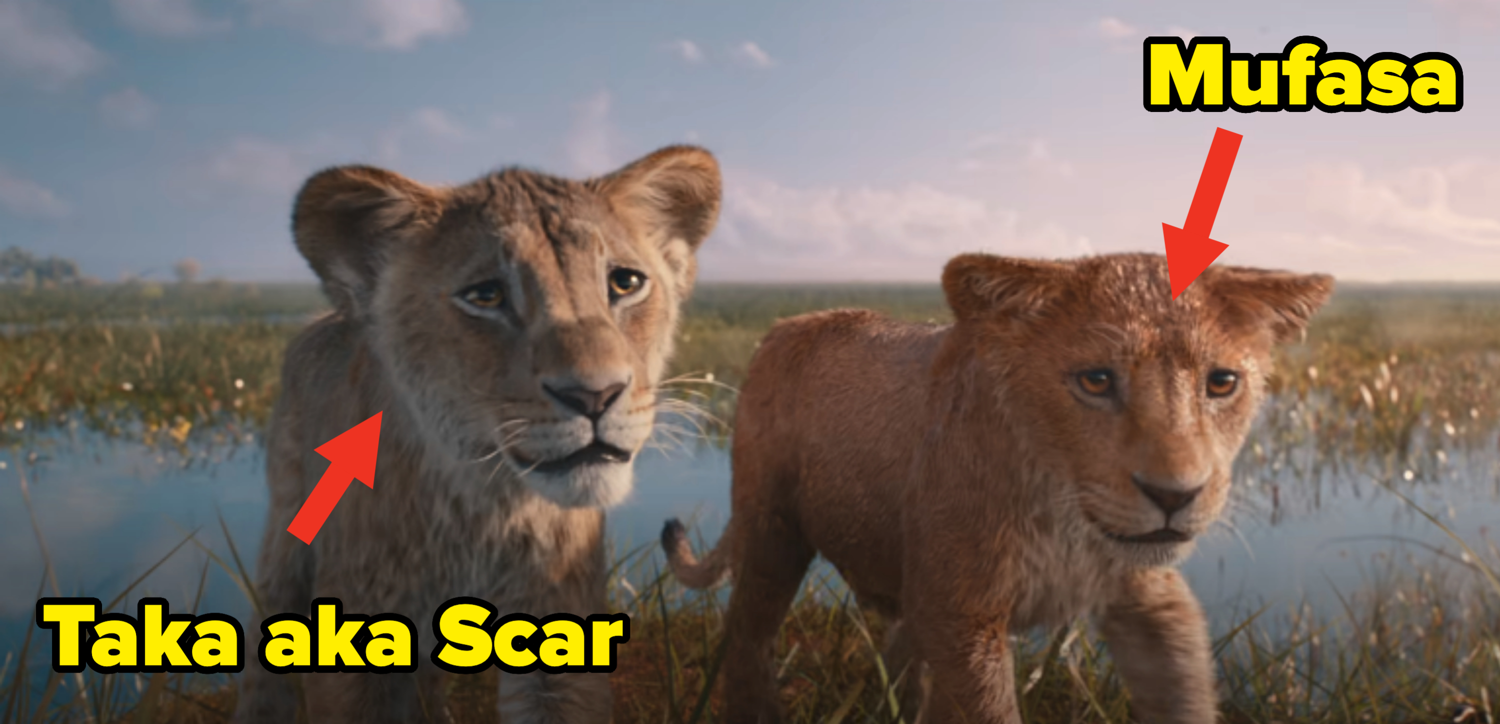 Screenshot from &quot;Mufasa: The Lion King&quot;