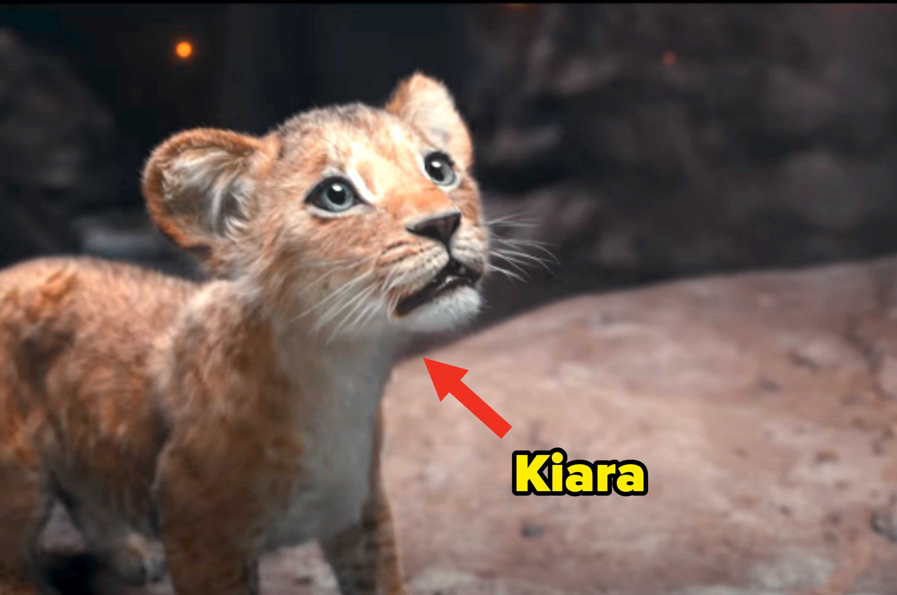 Simba from The Lion King looks up with curiosity and awe against a softly lit rocky background