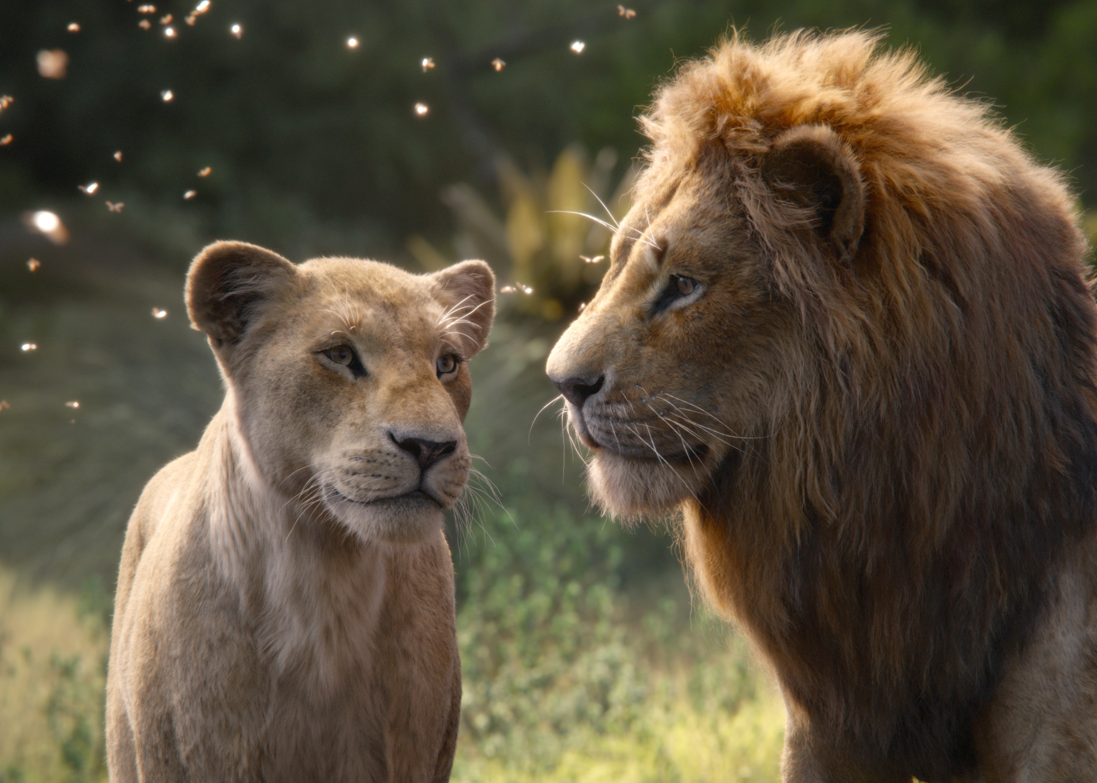Nala and Simba, from &quot;The Lion King,&quot; stand close, looking at each other against a natural background with floating particles