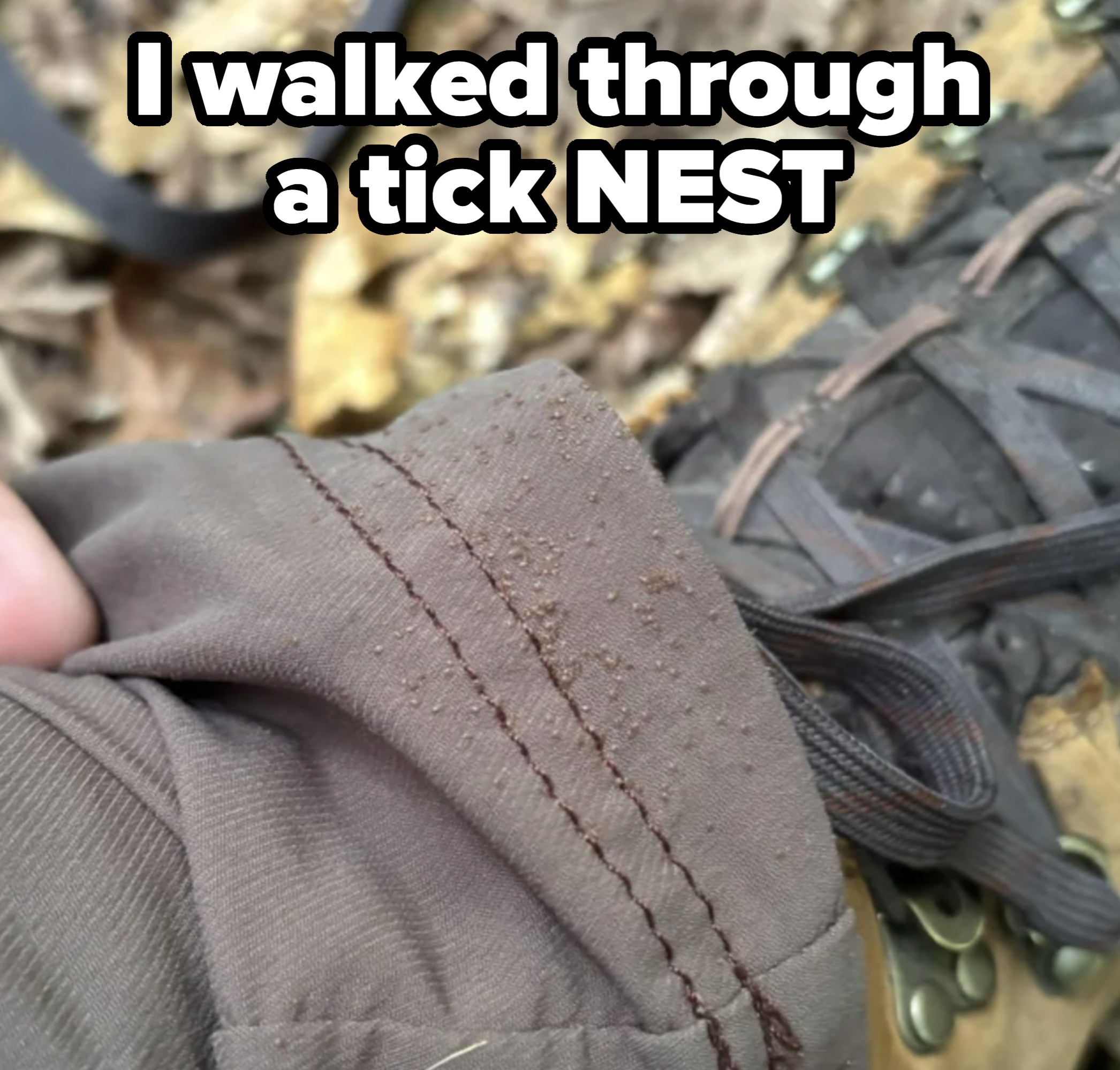 Close-up of a person's pant leg with dirt on it and a hiking boot on a forest floor covered in leaves