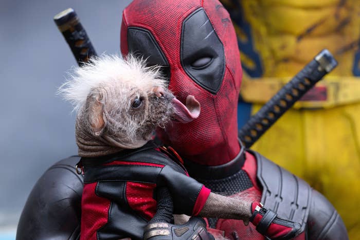 Deadpool lovingly holding Dogpool in a scene from "Deadpool & Wolverine"