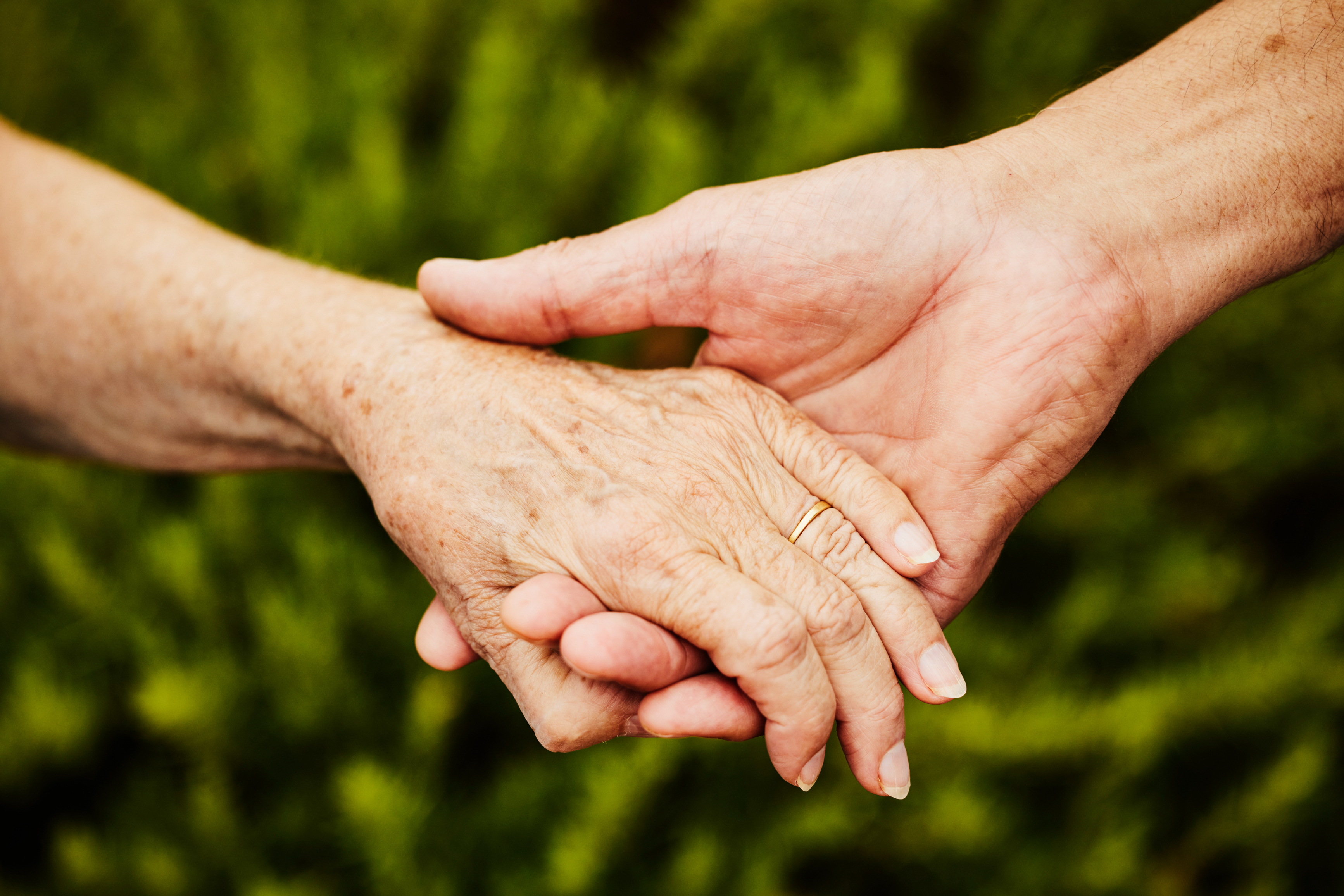 Two elderly hands holding each other gently, symbolizing support and care. Green foliage background