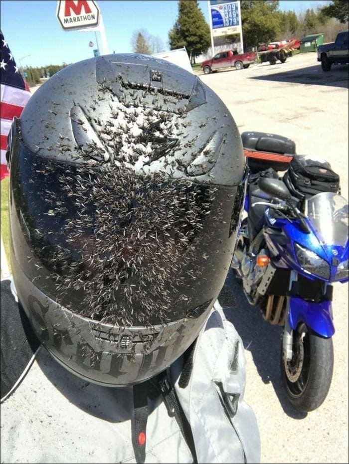 Person in a helmet covered with bugs takes a selfie with a motorcycle in the background