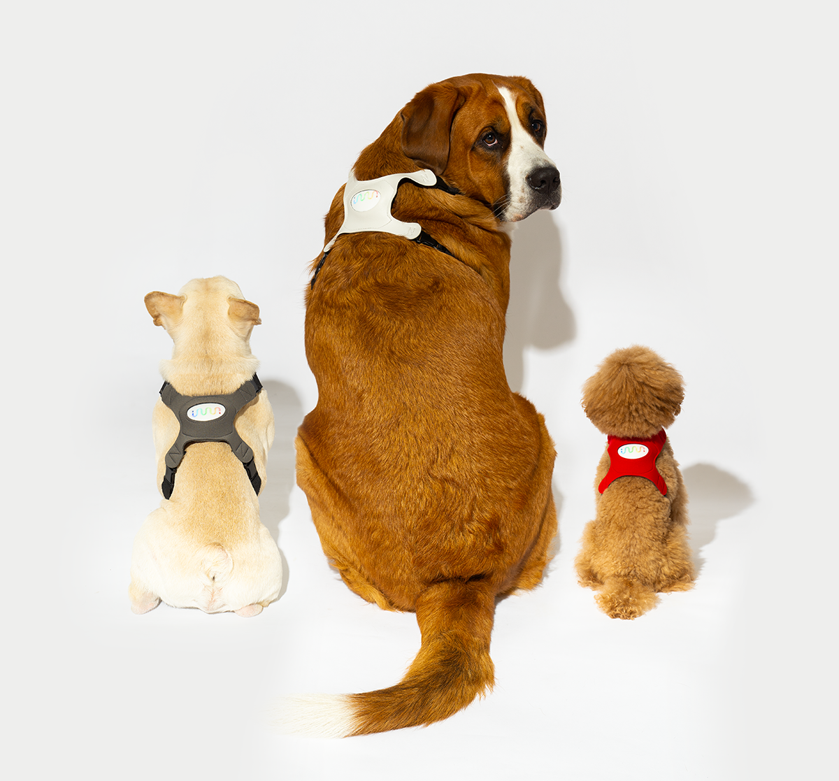 第一世代のイヌパシー・ハーネス