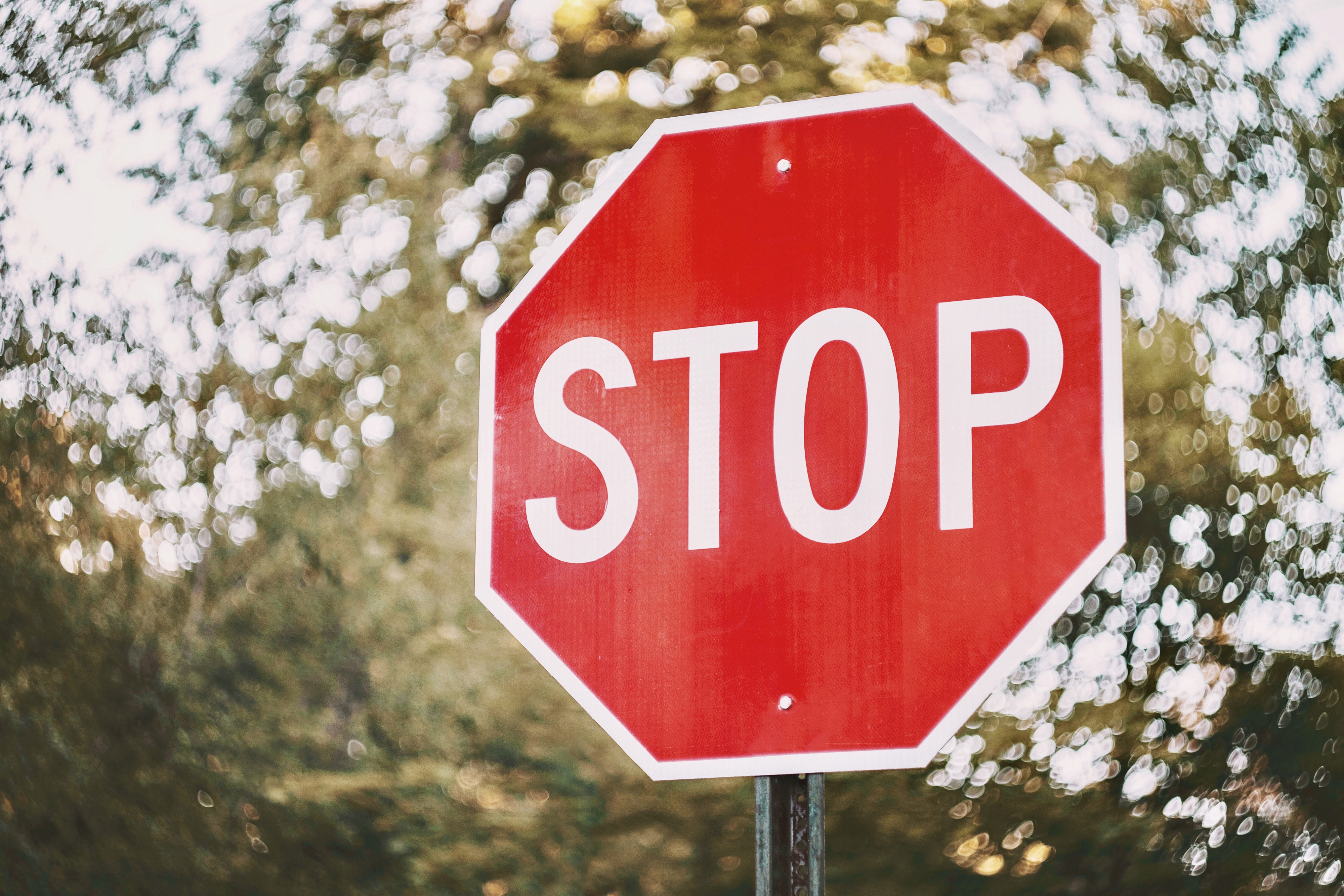 A stop sign in an outdoor setting with trees in the background