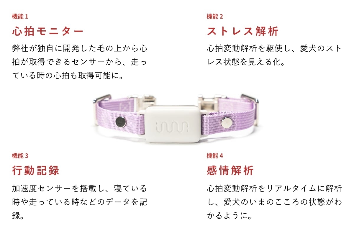 イヌのこころを“色”で可視化――。首輪型デバイス「イヌパシー」が