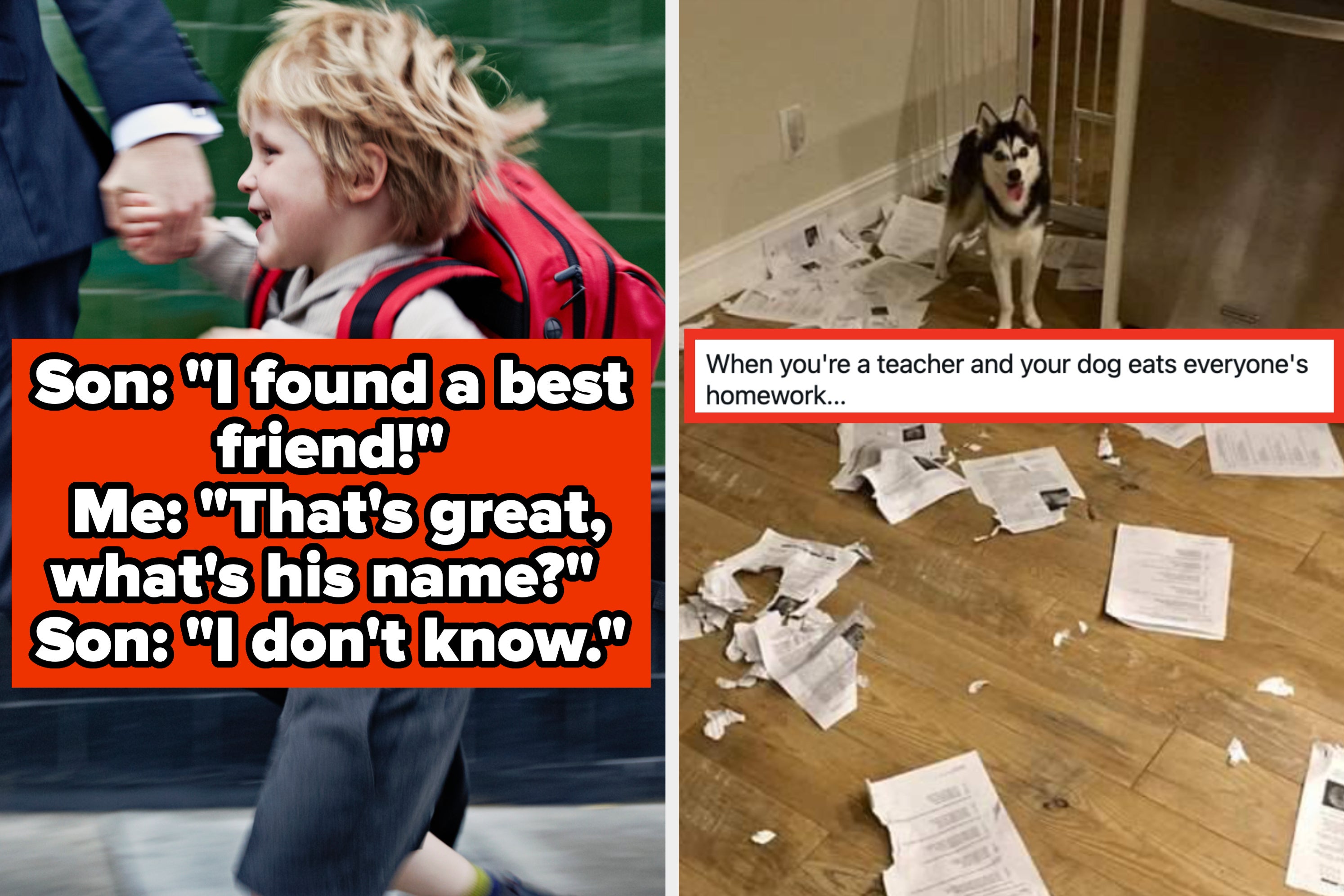 A Siberian Husky stands in a kitchen surrounded by shredded papers. Text overlay: "When you're a teacher and your dog eats everyone's homework..."