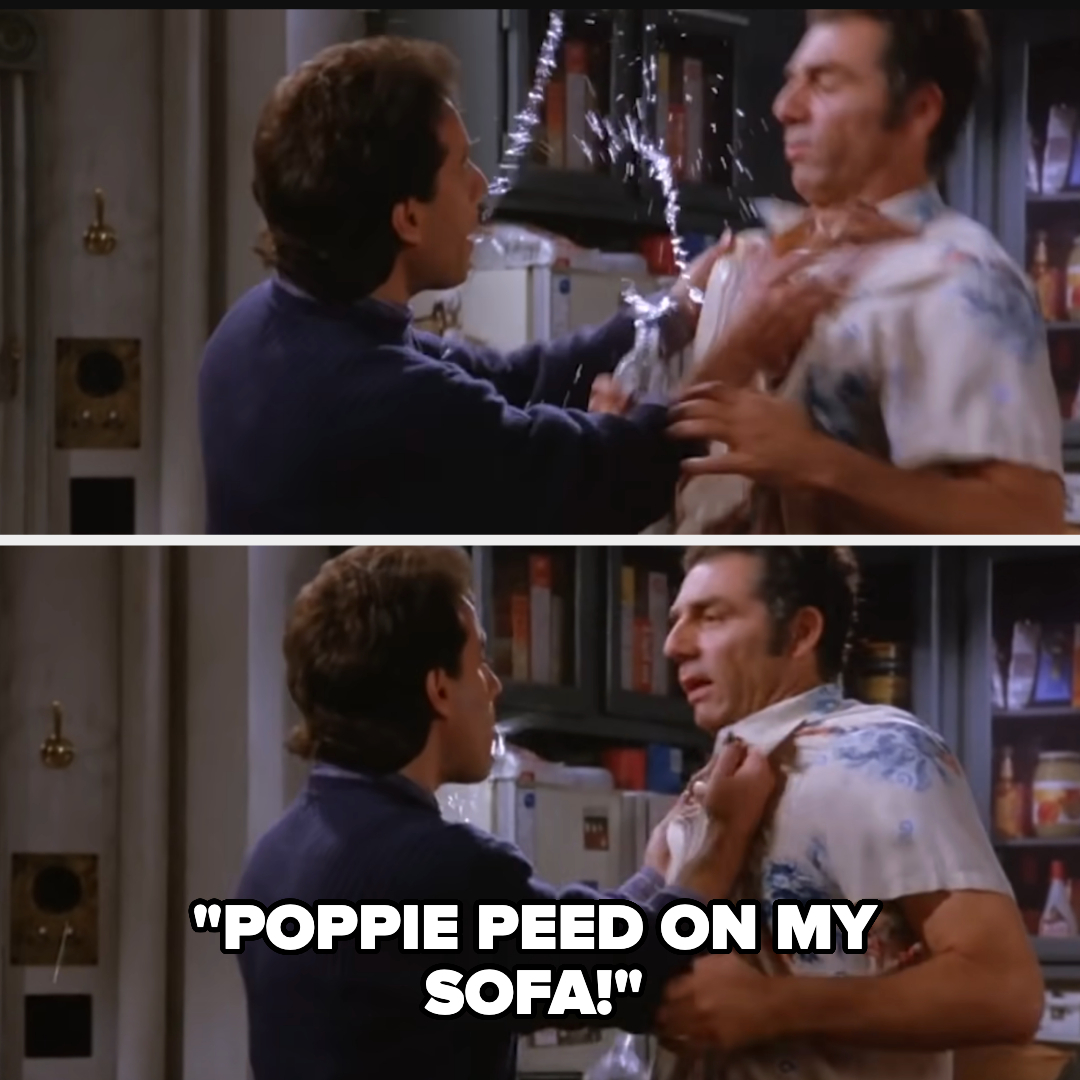 Jerry Seinfeld and Cosmo Kramer from Seinfeld are in an intense discussion. Text: "POPPIE PEED ON MY SOFA!"