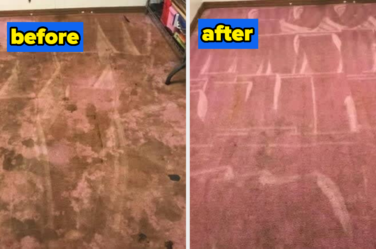 a before and after for sunny and honey carpet cleaning solution