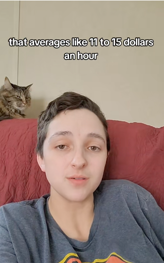 Person seated on a red couch with a cat behind them. Text in image: "that averages like 11 to 15 dollars an hour"