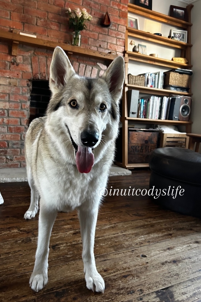 にっこり笑みを浮かべるコディくん