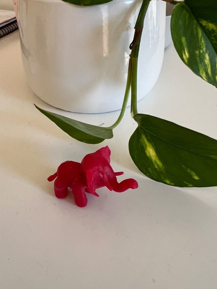 A small, pink, elephant-shaped object is placed on a table close to the large, veiny leaves of a potted plant