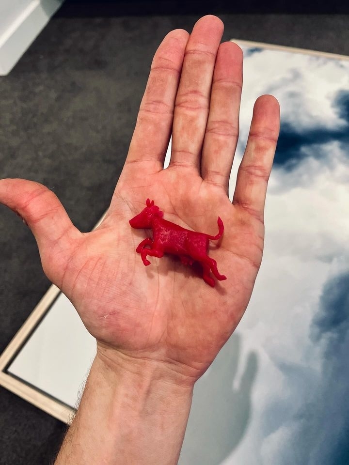 A hand is holding a small red plastic toy shaped like a dog. The background includes a mirror reflecting a partly cloudy sky