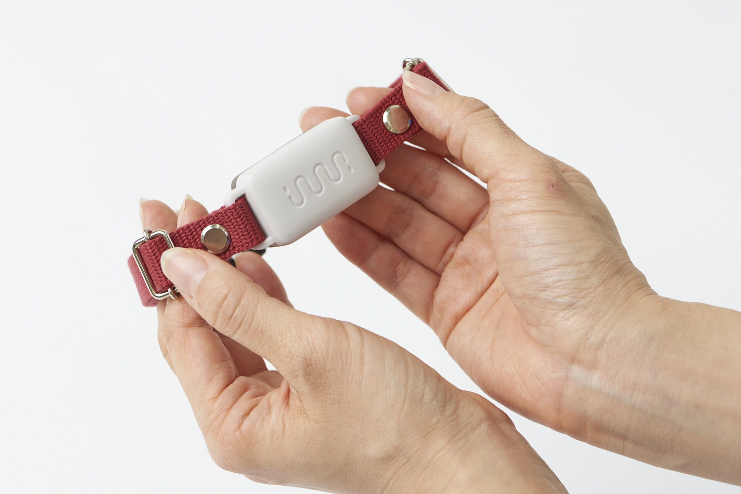 イヌパシー・カラー