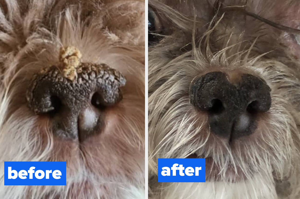 Woof Woof: Your Dog Wants You To See The Before And After Photos For These 17 Products