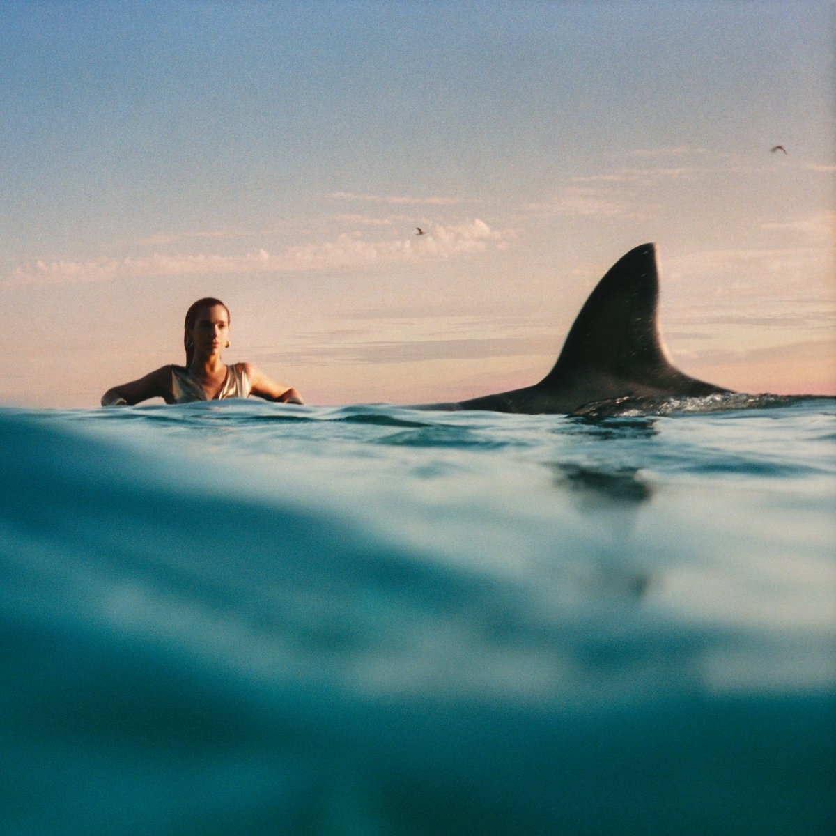 Dua Lipa swimming next to a large shark fin in open water with a distant horizon