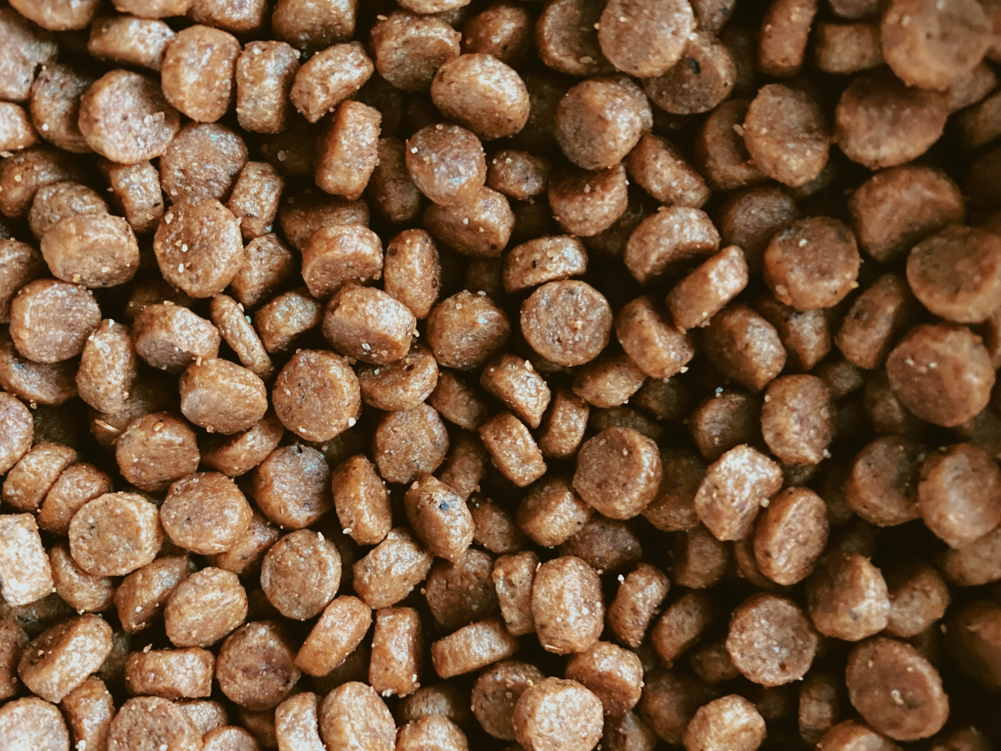 Close-up image of a pile of uniform round pet food pellets