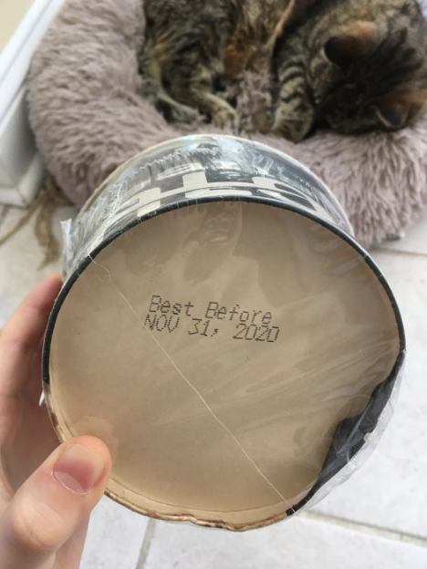 Hand holding a packaged product with "Best Before NOV 31, 2020" printed on the bottom; a cat sleeping on a pet bed in the background