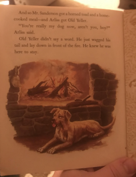 Illustration of a boy, Arliss, talking to Old Yeller, a dog lying by a fireplace. Old Yeller wags his tail, knowing he's home. Nearby text narrates this scene